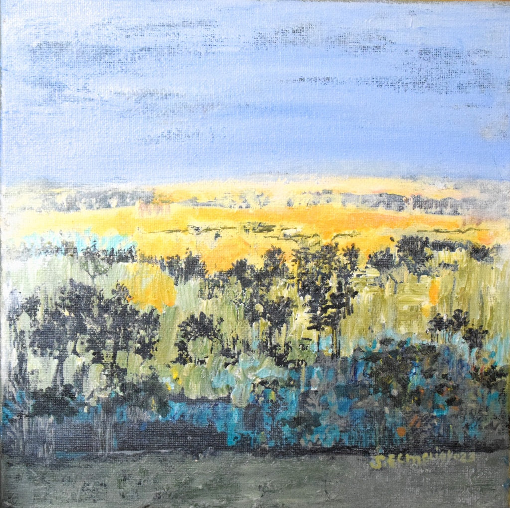 صلاح المليجي