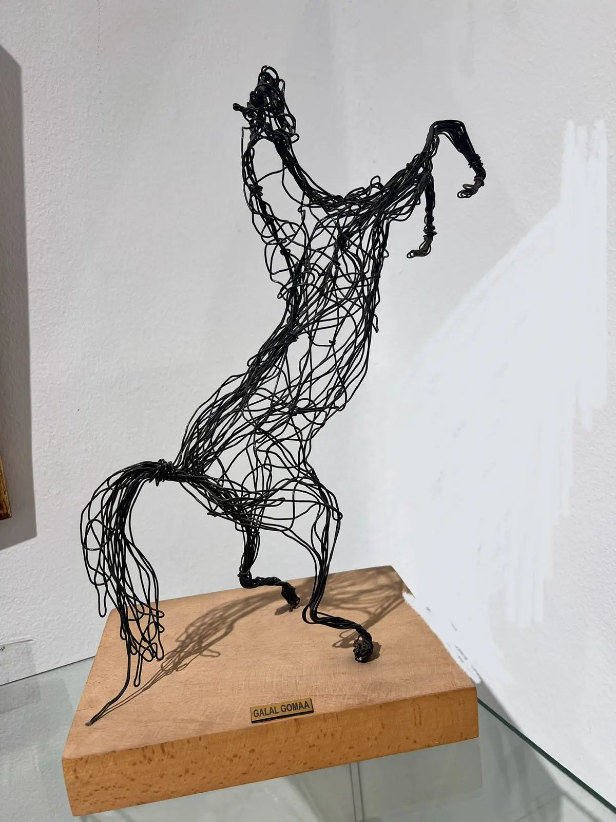 Horse - Galal Gomaa