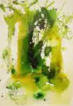 Nature 5 - Iman khattab