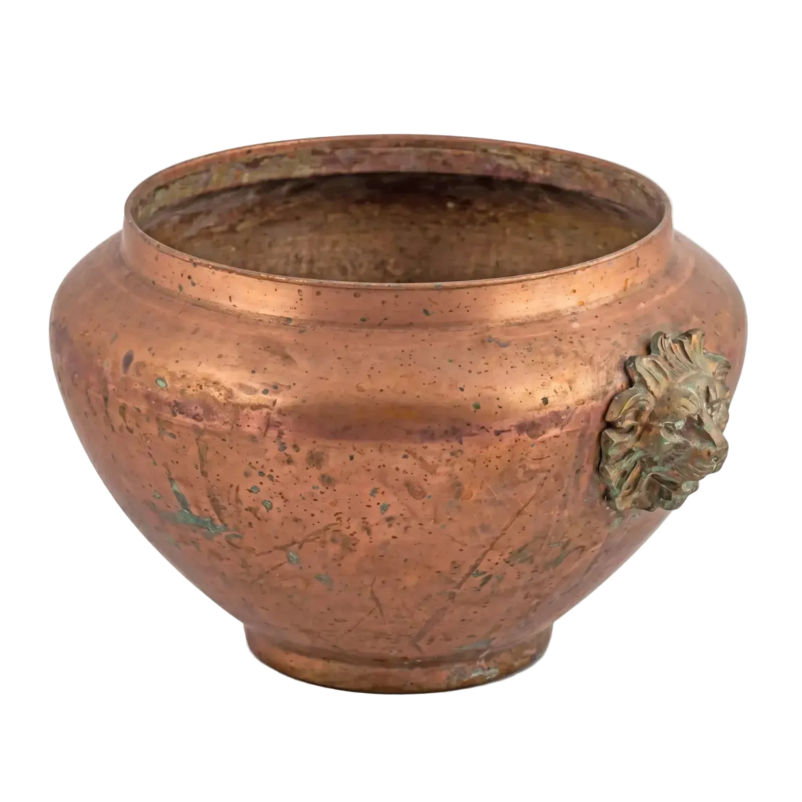 Lion Vessel