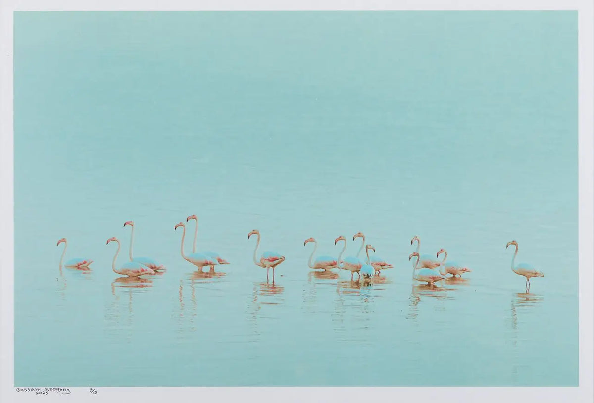 Birds of the Nile ll – Bassam Al Zoghby