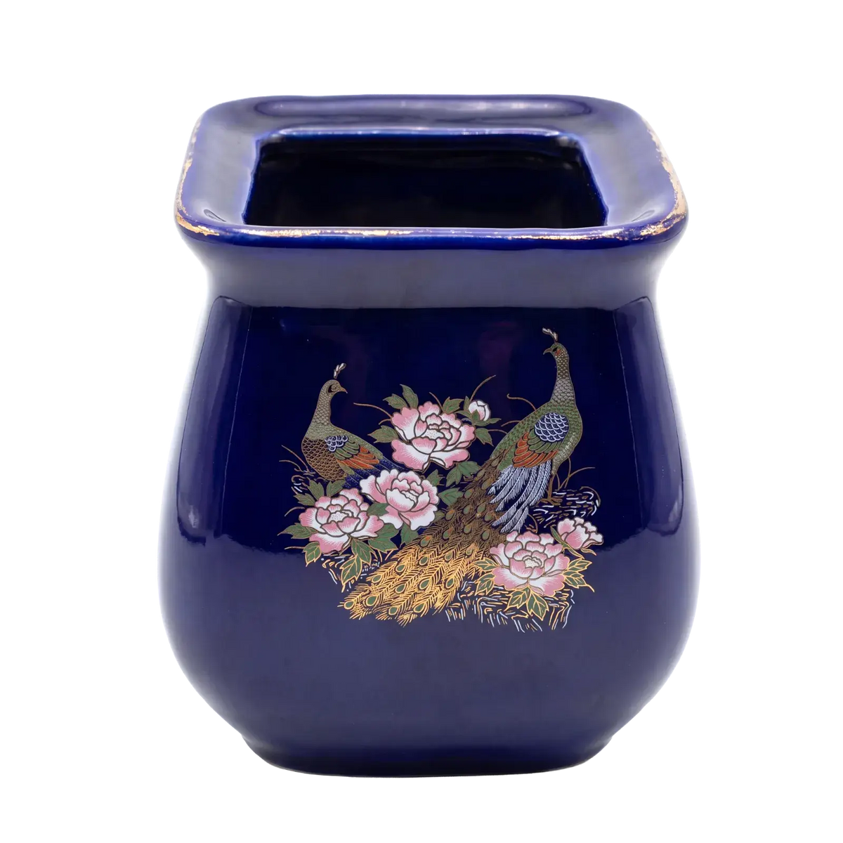 Royal Peacock