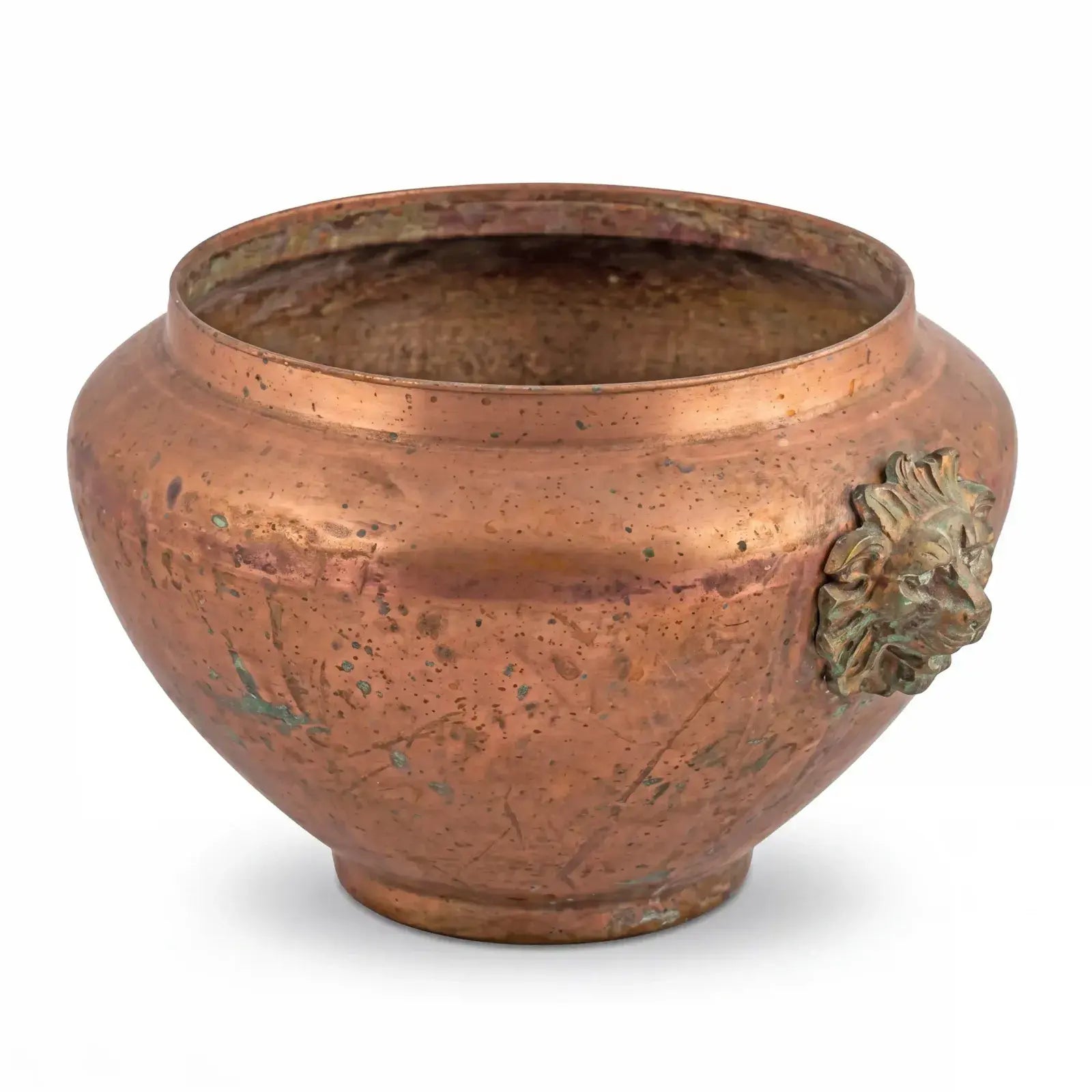 Lion Vessel